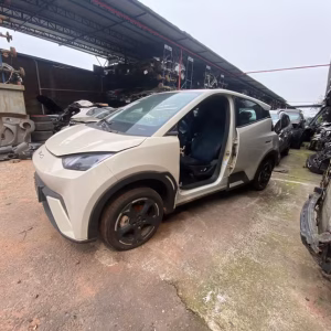 Peças Byd Dolphin Mini 2024/2025 Elétrico 75cvs
